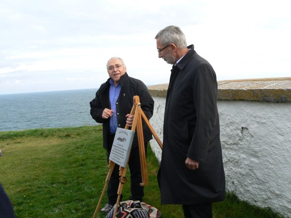 Unveiling the Plaque